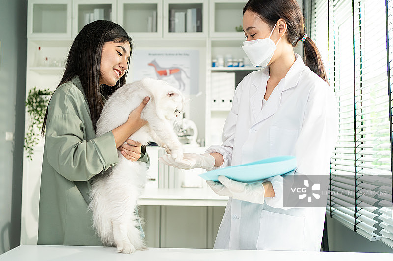 亚洲女宠物主人带小猫去兽医诊所检查。在宠物医院预约期间，由专业兽医对小动物小猫进行检查和治疗图片素材