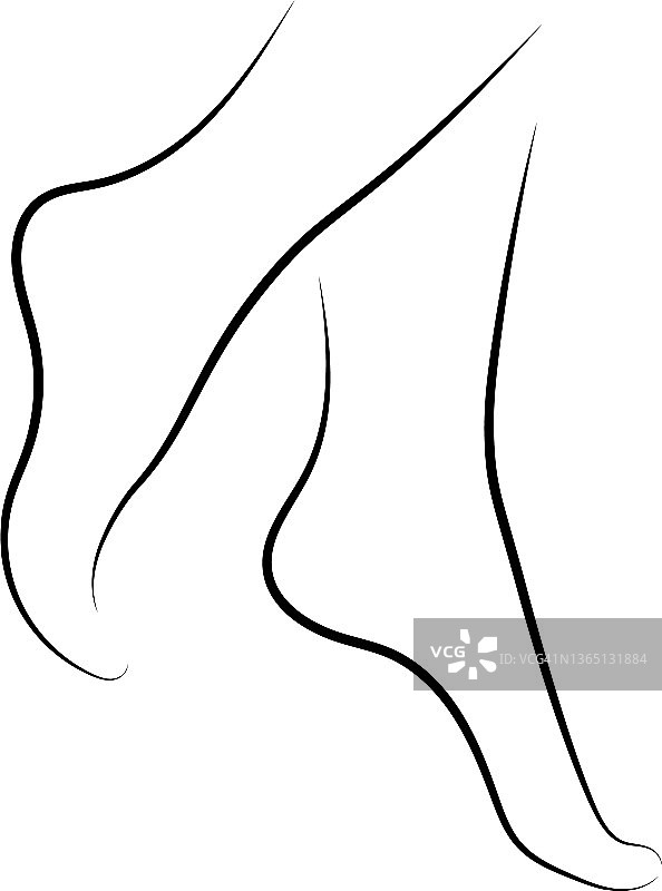 女士的腿向量。女人的腿矢量轮廓。女性的腿画图片素材