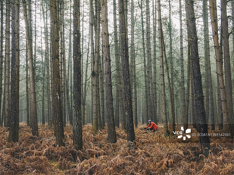 一个男人骑自行车穿过森林的侧视图图片素材