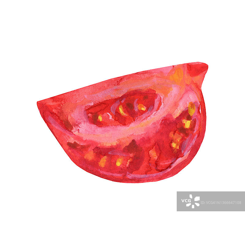 水彩番茄片图片素材
