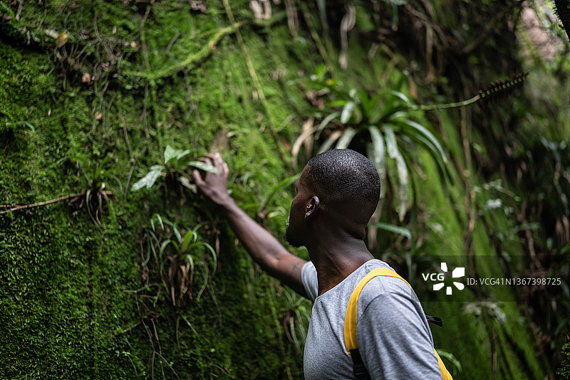 一个中年男子在森林里摸一棵树图片素材