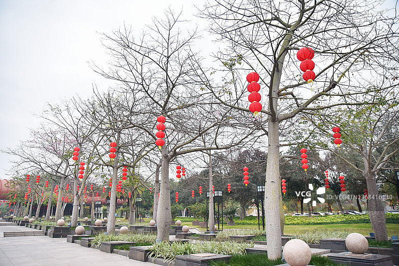 中国广东江门福山公园，树上挂着传统的红灯笼。图片素材