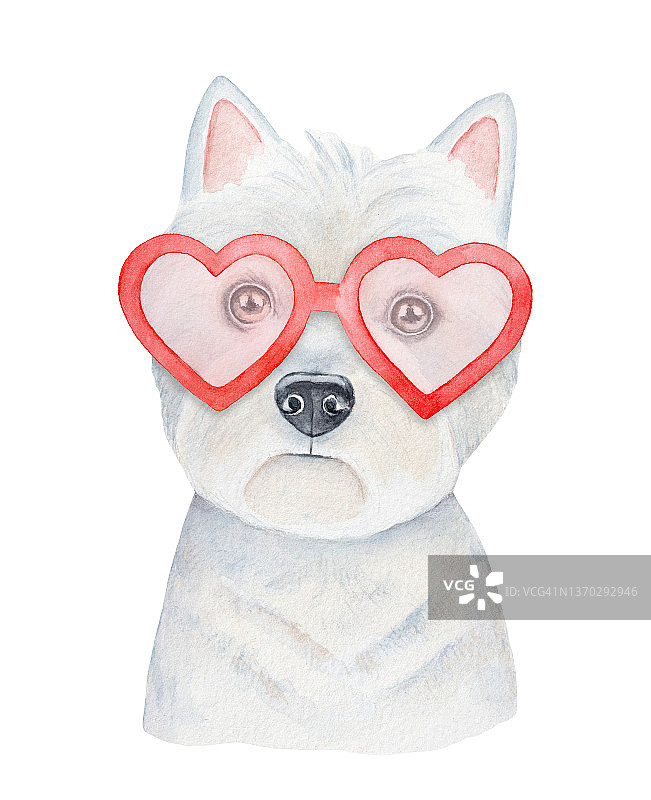 水彩插图白色西部高地猎犬小狗戴着时尚的心形太阳镜。图片素材