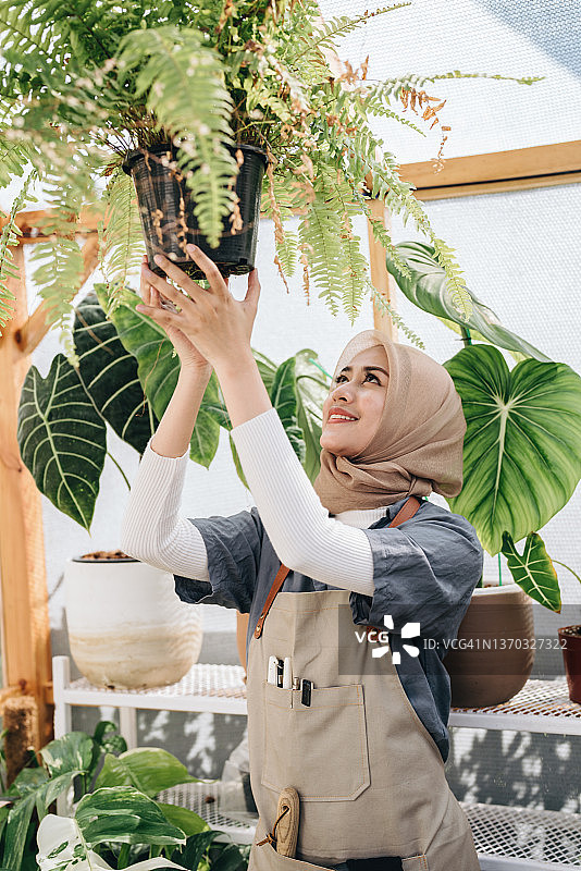 年轻的穆斯林妇女在照料她的植物。图片素材