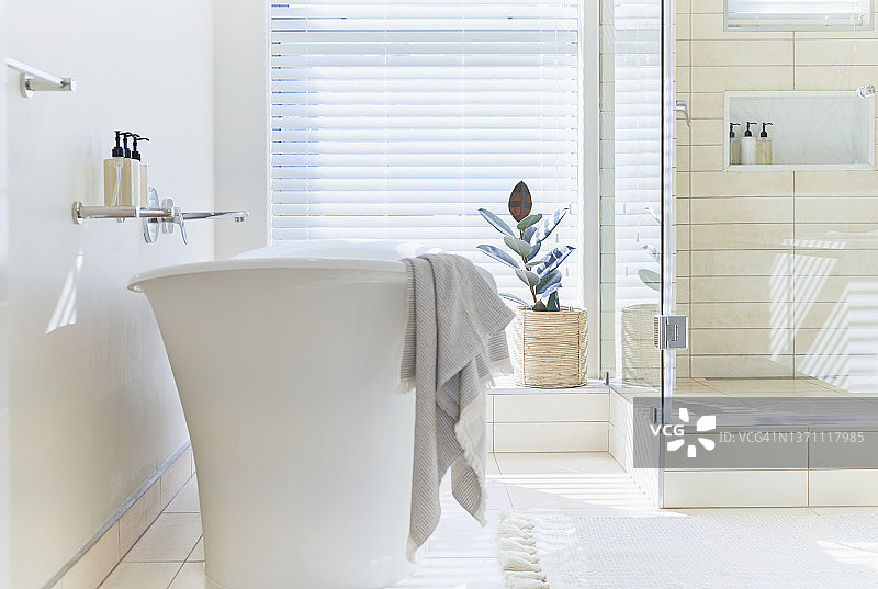 阳光明媚的白色现代家居展示室内浴室与浸泡浴缸图片素材