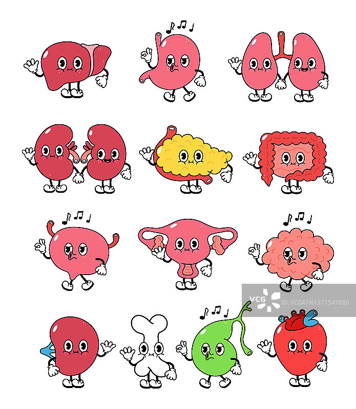 快乐的人体内脏。卡通人体器官心、肝、胃、肺、肾、胰、肠、膀胱、子宫、脑、脾、骨、胆囊。内部器官复古插图集图片素材