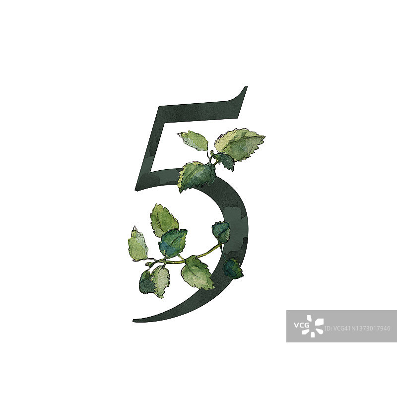 黑色5号符号与绿色梅丽莎小枝图片素材