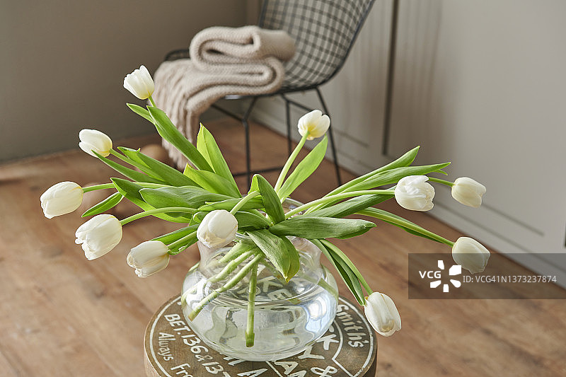 花瓶在椅子上，静物，多彩的，装饰房间背景，家居设计和植物。图片素材