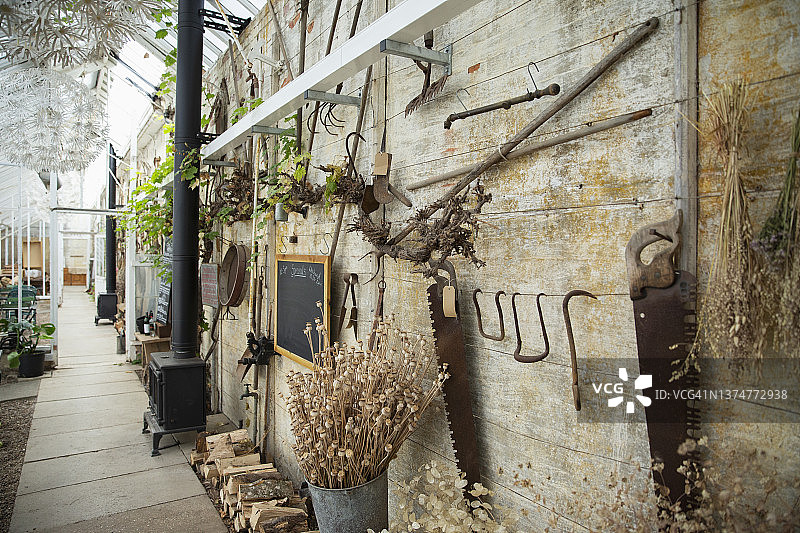 花店墙上的干花、植物和古董工具图片素材