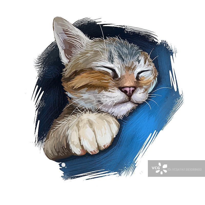 爱琴海猫孤立在白色背景上。手绘kitty的数字艺术插图。中等大小的小猫，半长毛，被毛双色。宠物有杏仁状的黄色眼睛。图片素材