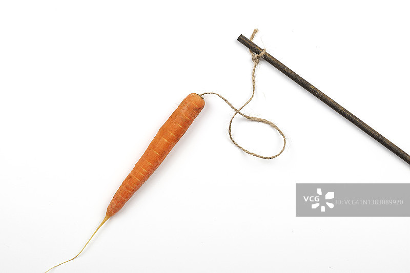 一根胡萝卜绑在棍子上，背景是浅色的木头。用软硬兼施的办法来激励自己图片素材