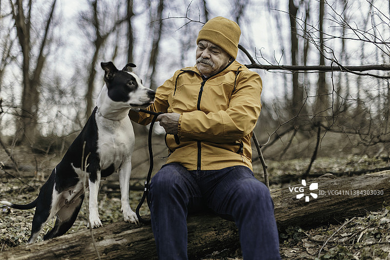 一个老人带着狗在秋天的大自然中散步图片素材