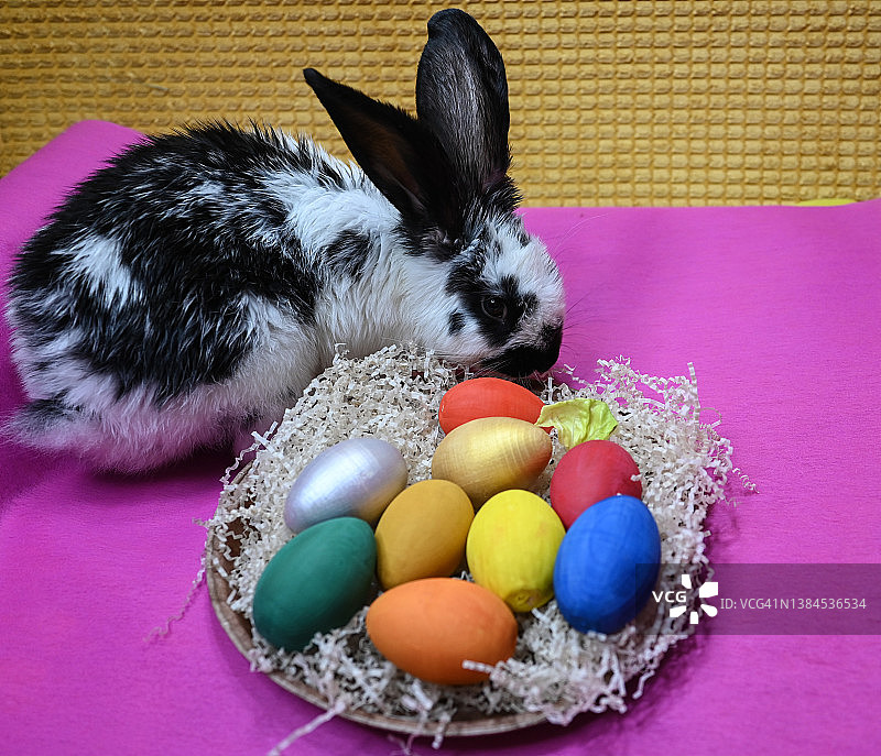 一只可爱的小兔子正坐在一张毯子上，上面放着一盘五颜六色的鸡蛋。复活节卡片图片素材