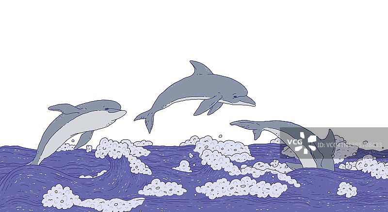 海豚在海浪中游泳和跳跃。有好玩的水生动物的海景。涂鸦线矢量插图横幅。图片素材
