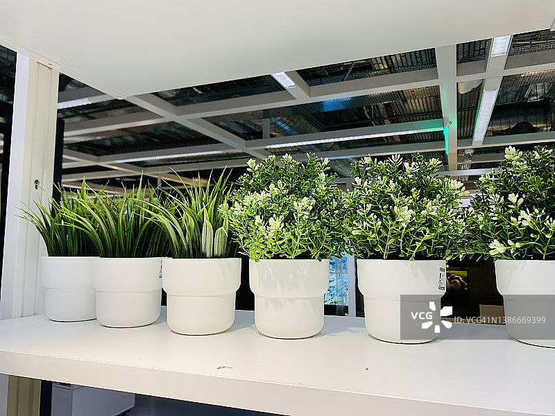 绿色植物放在架子上的花盆里图片素材