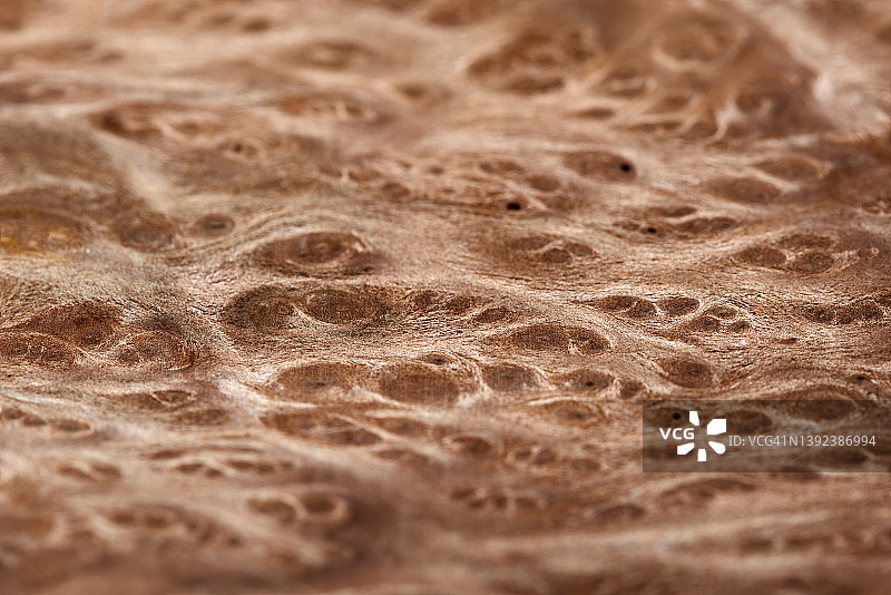 自然质朴的木质背景纹理用于布局。图片素材