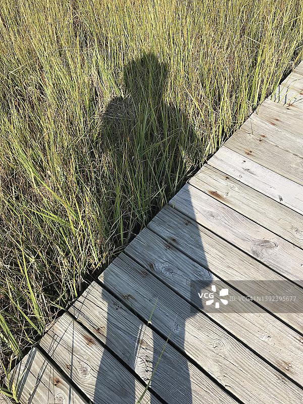 女人的影子投射在木板路和沼泽上。游客愉快的身影在通往海滩的小径上伸展开来。图片素材