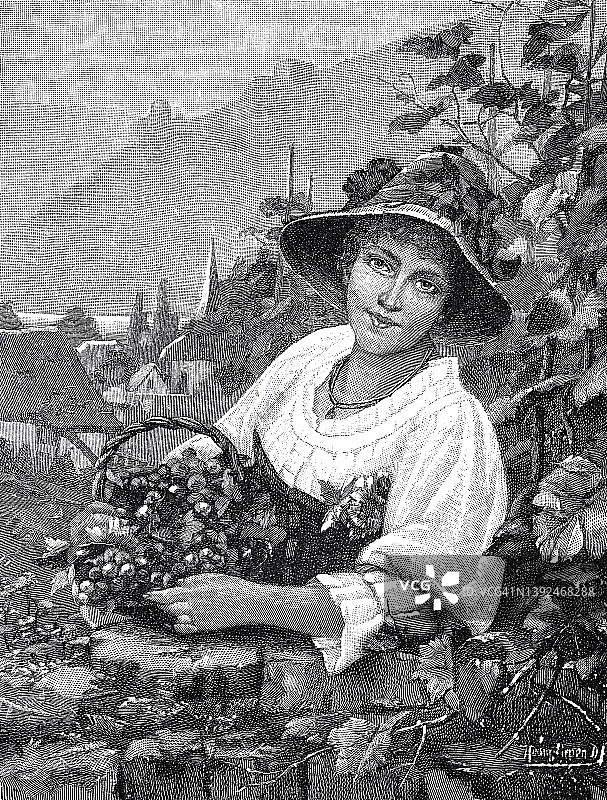 莱茵河葡萄园的金发女孩，手里提着一篮子葡萄图片素材