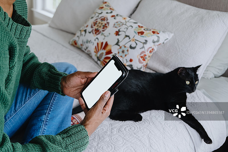 女人和猫坐在床上看智能手机图片素材