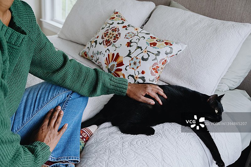 女人在床边爱抚她的猫图片素材