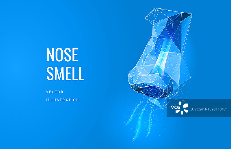 鼻感在未来的多边形风格。空气从鼻子流出，恢复呼吸和嗅觉的概念。矢量图图片素材