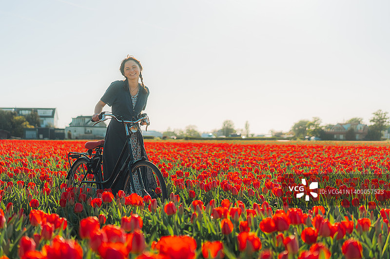 在荷兰的郁金香田里骑自行车的女人图片素材