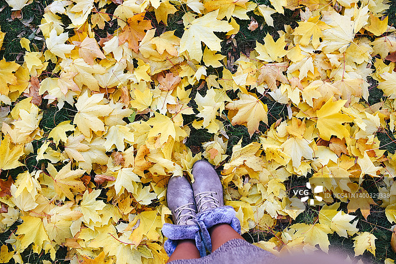 金色的秋天和漂亮的灰色鞋子。Copyspace。秋天的明亮色彩。秋天的气氛。图片素材