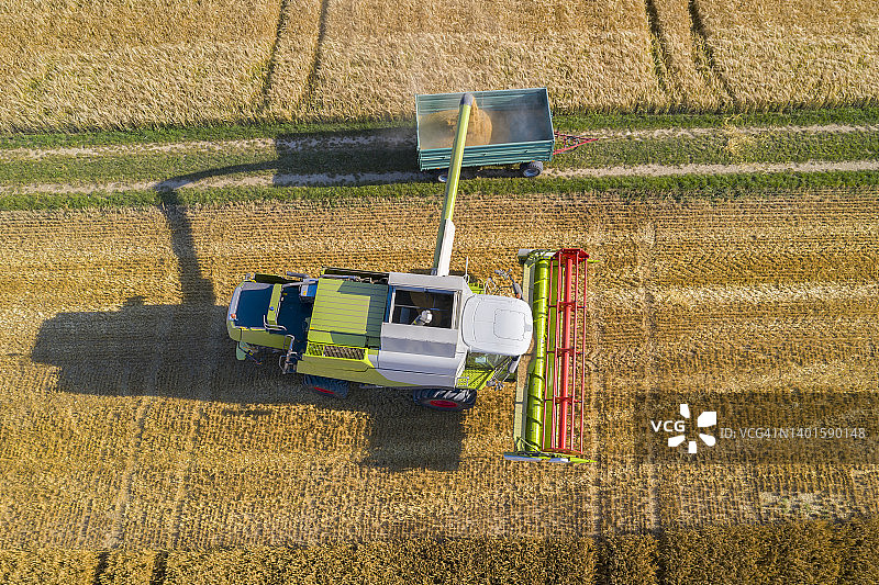 联合收割机将玉米谷物倒入拖车，粮食危机图片素材