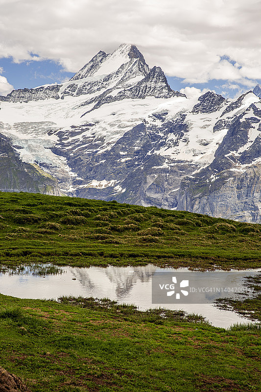 白雪皑皑的山倒映在绿意盎然的水中图片素材