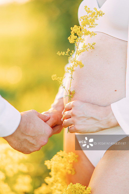 男人的手牵着穿着白色衬衫和比基尼的孕妇的手，她站在黄色的花朵中。图片素材