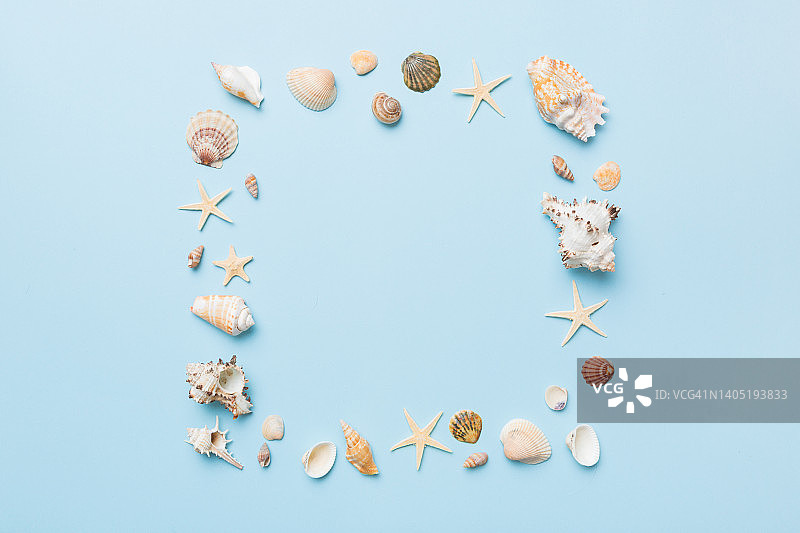彩色背景上的夏日时光概念。贝壳从海洋海岸的形状框与文字顶部的空间分开图片素材