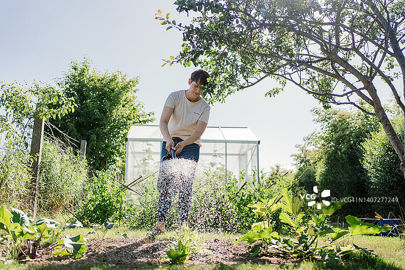 一个女人浇灌菜地的广角镜头图片素材