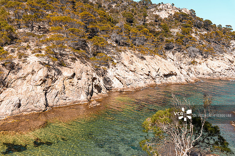 有岩石山和树木的沿海景观。西班牙布拉瓦海岸图片素材