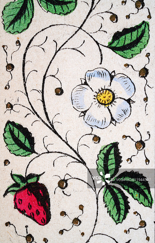 复古插图，白玫瑰和草莓花卉图案，花卉艺术图片素材