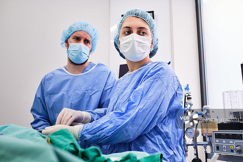 女兽医或女护士在腹腔镜手术中与外科医生一起密切注视监视器图片素材