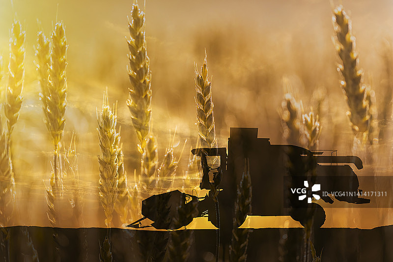收割机的背景是麦穗。农业机械图片素材