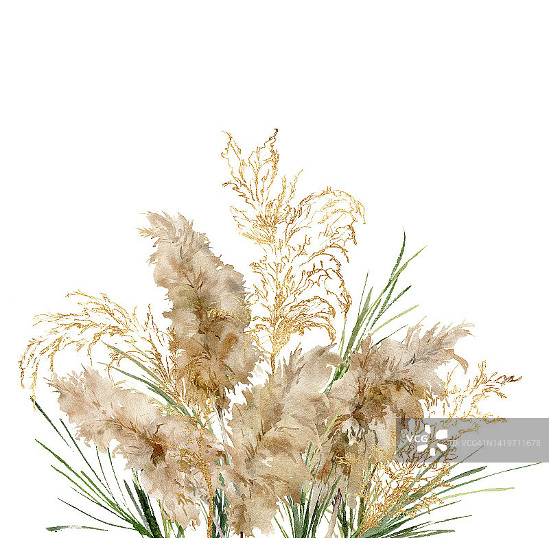水彩热带花束的绿色和金色线性潘帕斯草。手工绘制的奇异卡片干燥的植物孤立在白色的背景。花卉插图设计，印刷，织物或背景。图片素材