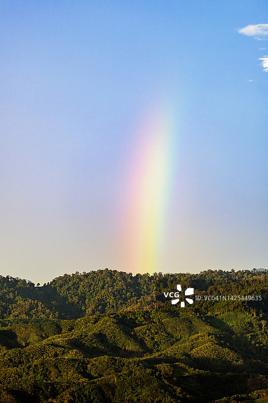 暴风雨后的彩虹，在山上森林的蓝天上图片素材
