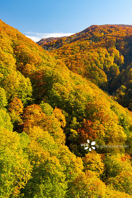 秋天的日本图片素材
