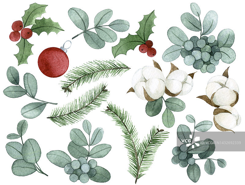 水彩绘画。一套圣诞树叶。桉树叶，冬青，棉花花，云杉树枝。新年、圣诞节的复古收藏图片素材