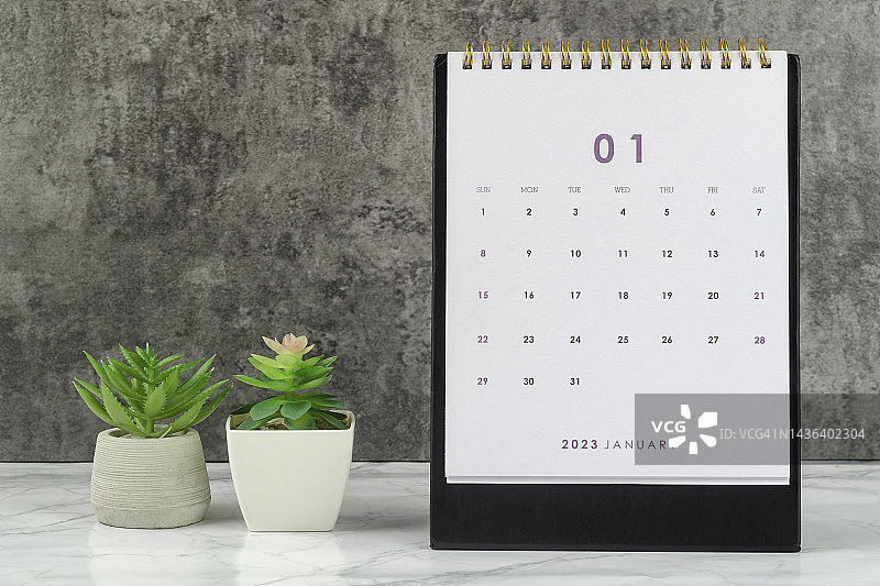 日历桌2023:一月是组织者计划的一个月，最后期限是在混凝土墙背景下的室内植物。图片素材