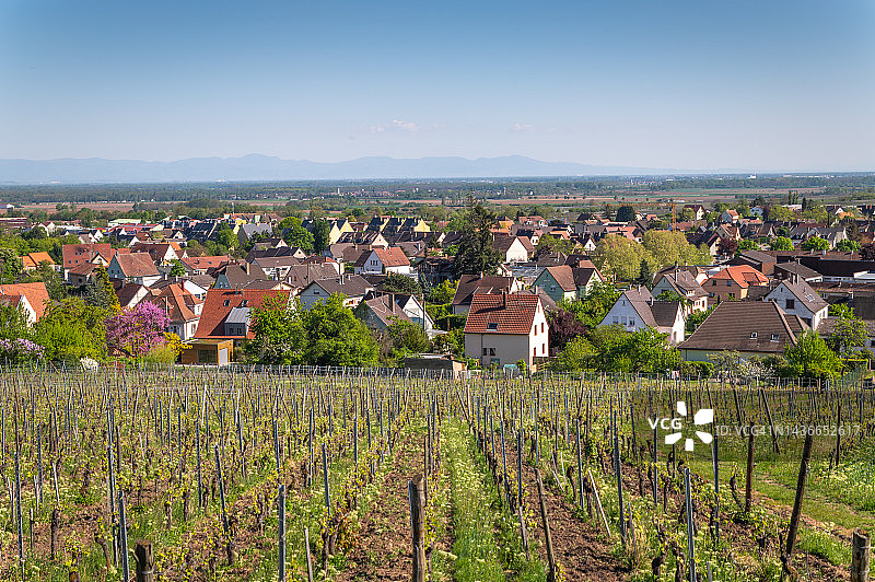 位于法国阿尔萨斯葡萄酒产区的村庄图片素材