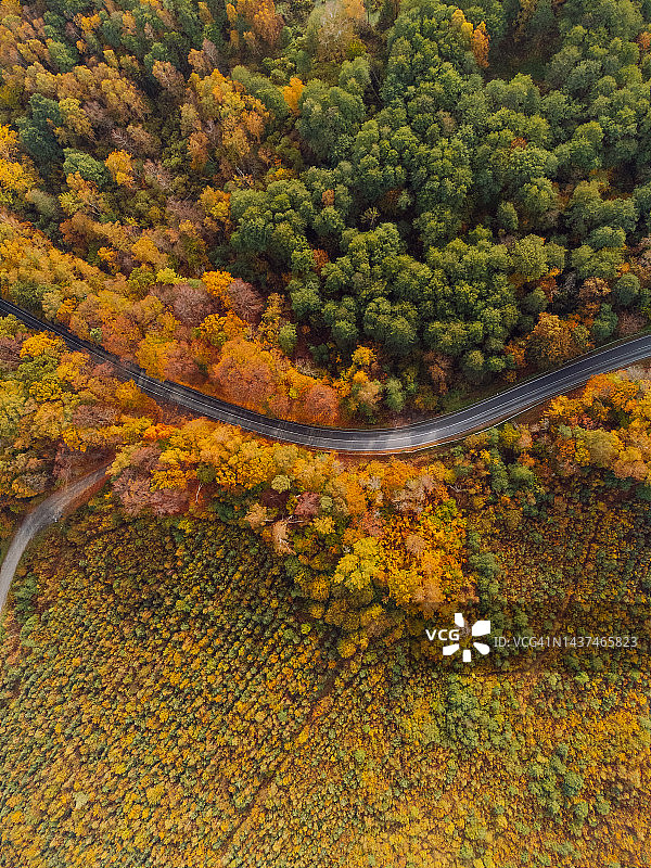 鸟瞰图，在美丽的秋天森林中，蜿蜒的道路上行驶着汽车，俯视图图片素材