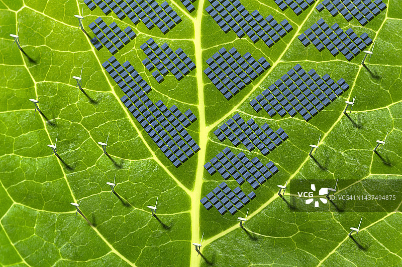 树叶上的可持续可再生能源图片素材
