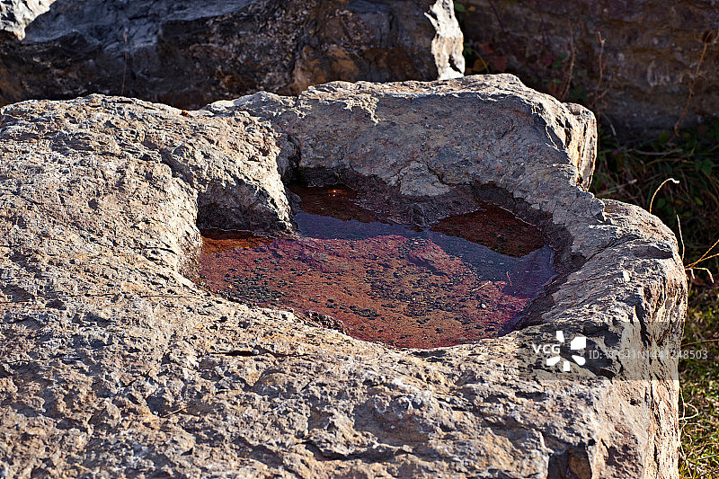 一块石头上的恐龙脚印化石，里面充满了水。拉里奥哈，西班牙图片素材