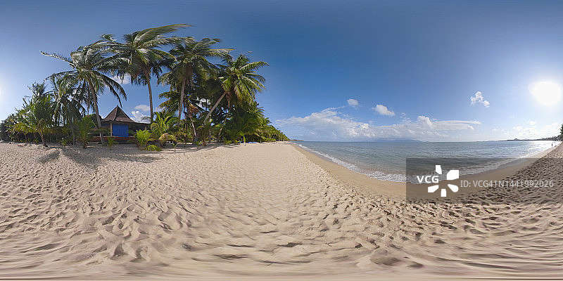 360VR /棕榈树的沙滩图片素材
