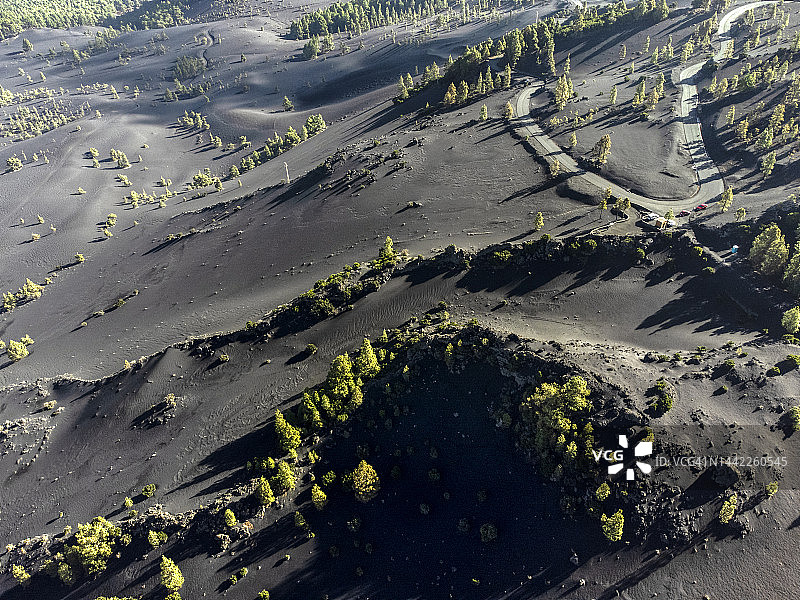 火山喷发。从空中俯瞰的山路穿过一片松林，松林上覆盖着Tajogaite火山(Cumbre Vieja)的火山灰。图片素材