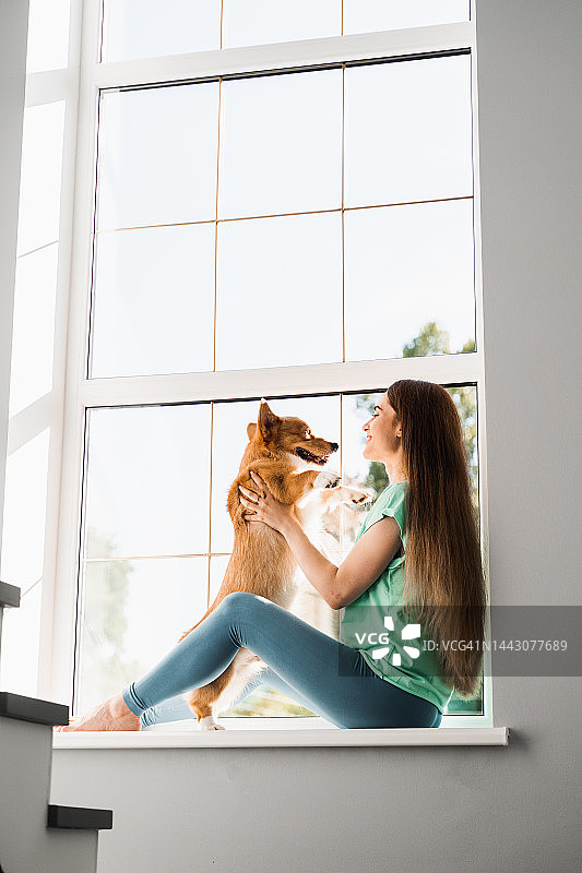 怀孕的女孩坐在窗台上，抱着家里的柯基狗。年轻女子在网上工作间隙与可爱的威尔士柯基彭布罗克玩耍。家庭宠物的生活方式。图片素材