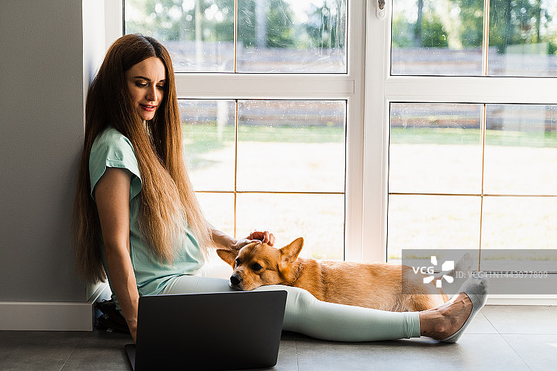 怀孕的女孩和笔记本电脑和柯基狗坐在地板上和朋友聊天。与威尔士柯基彭布罗克的生活方式怀孕。图片素材