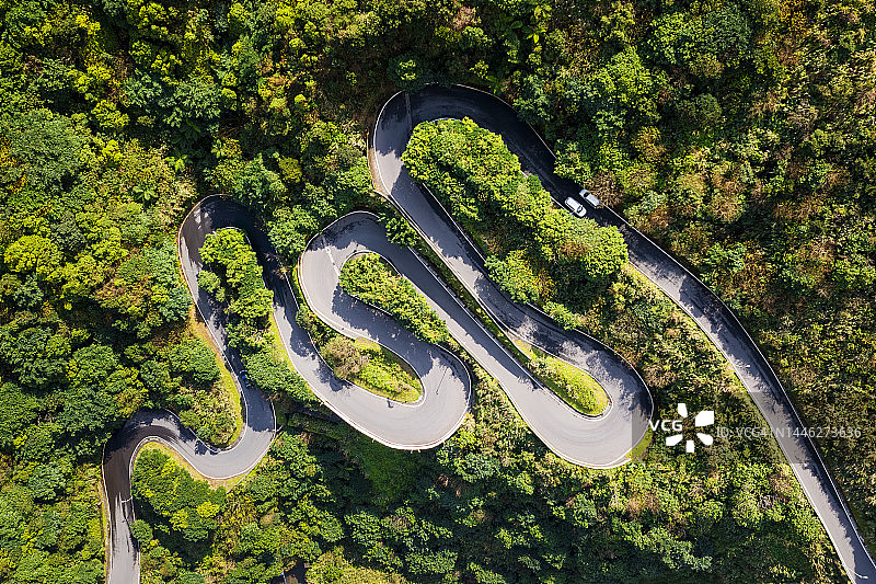 鸟瞰林山中蜿蜒的道路图片素材